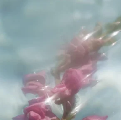 Hydrating Toner- Hydratone