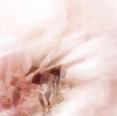 Eye Cream – Soothing | By Arts